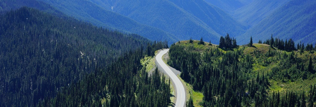 Straße durch die Wälder und Berge von Washington